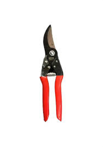 DESA BAĞ MAKASI PROFESYONEL 